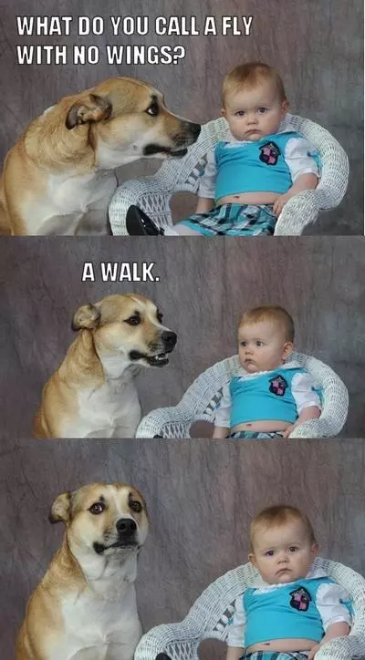 dad joke dog