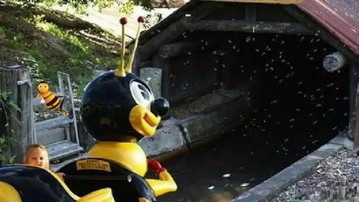 fuck bees meme image