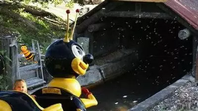 fuck bees