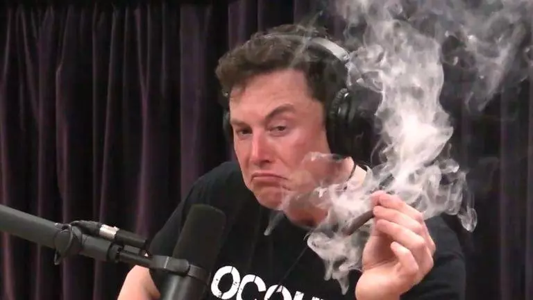 elon musk smoking weed meme image