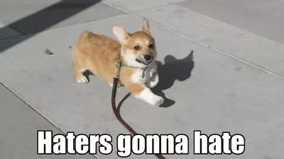 haters gonna hate