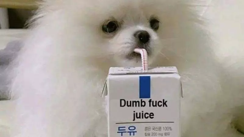 dumb fuck juice meme image