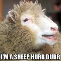 hurr durr meme image