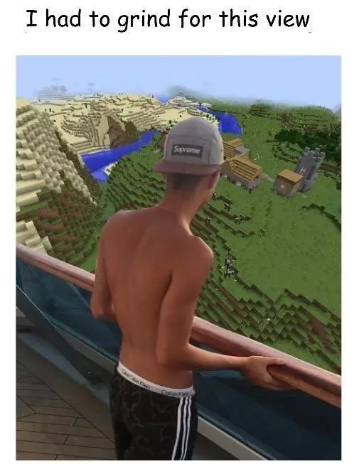 i had to grind for this view meme image