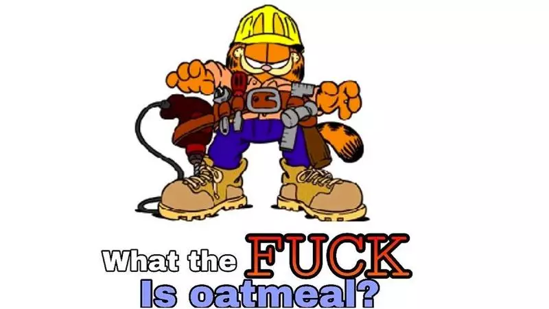 what the fuck is oatmeal meme image