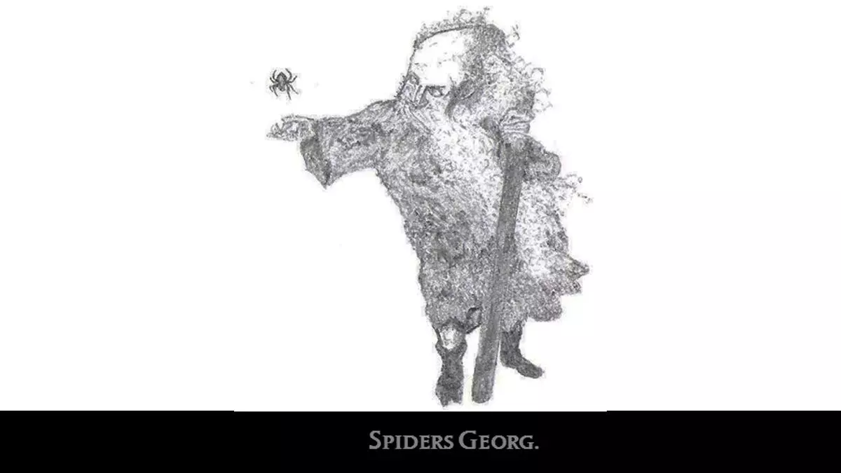 spiders georg meme image