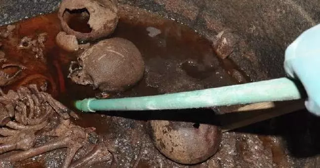 drink the red liquid from the sarcophagus campaign meme image