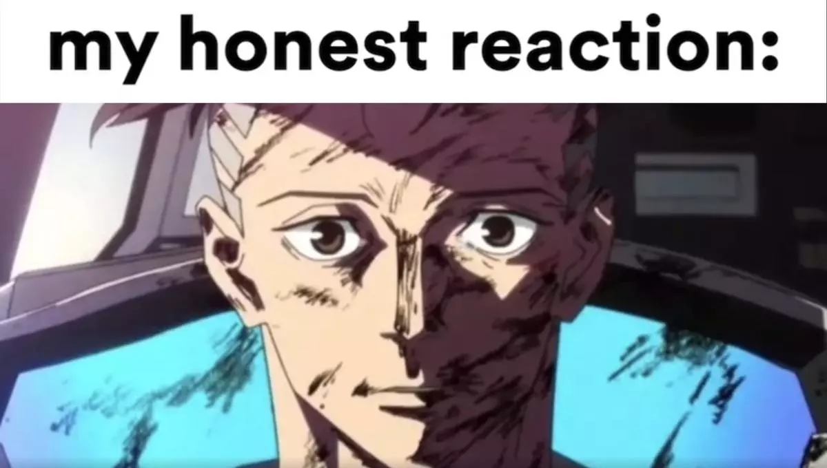 my honest reaction meme image