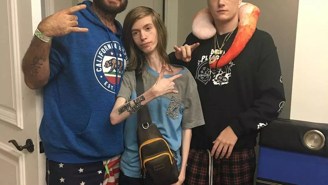 daddy long neck meme image