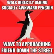 socially awesome penguin