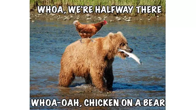 whoa were halfway there meme image