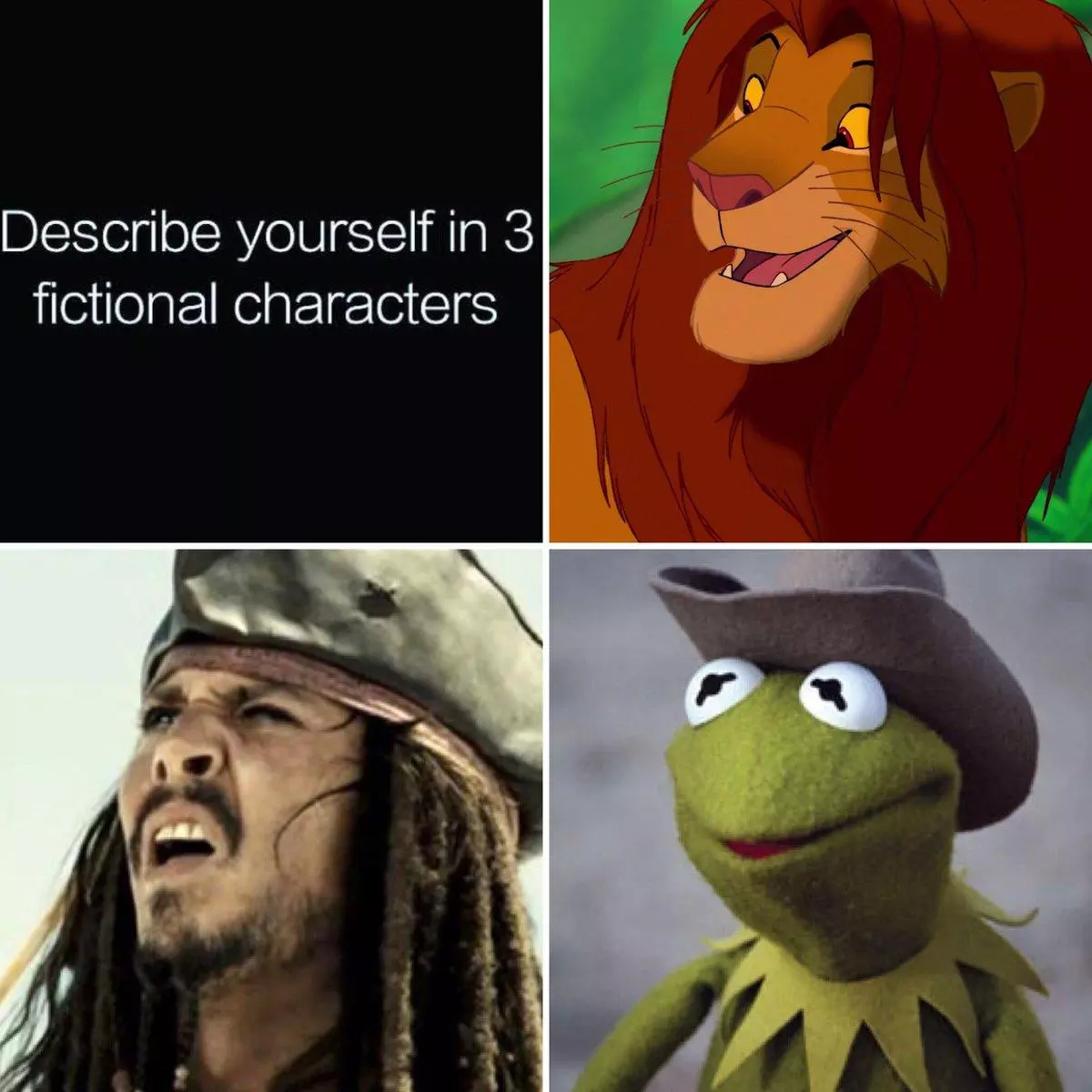 describe yourself in 3 fictional characters meme image