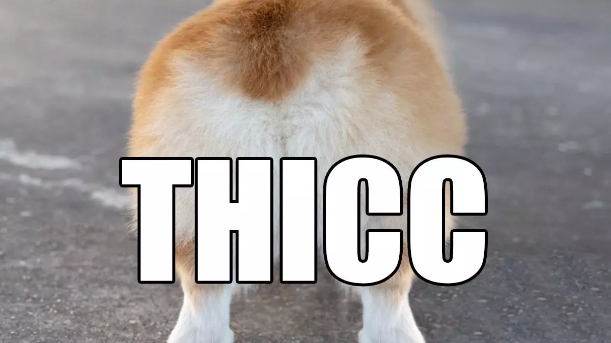 thicc meme image