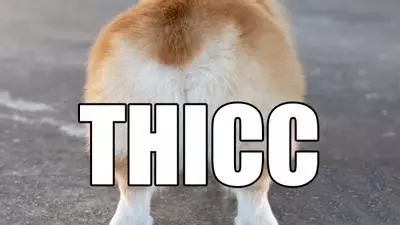 thicc