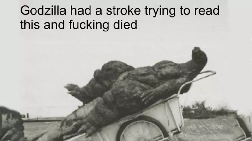 godzilla had a stroke trying to read this and fucking died meme image