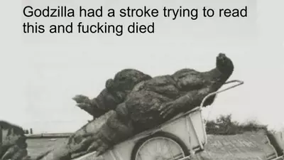 godzilla had a stroke trying to read this and fucking died