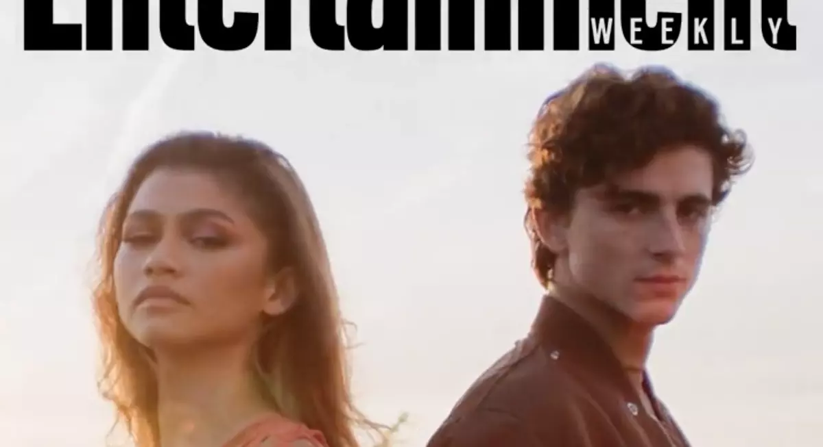 zendaya and chalamet stare meme image