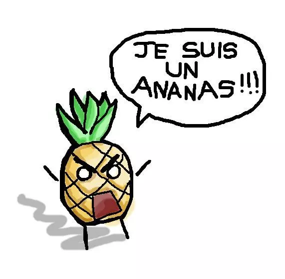 je suis un ananas meme image