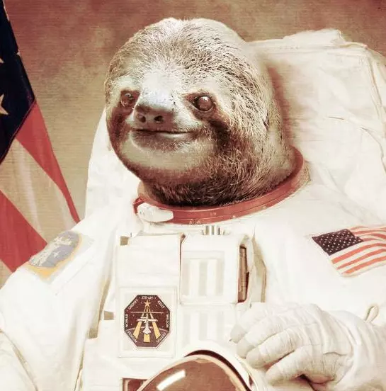 astronaut sloth meme image