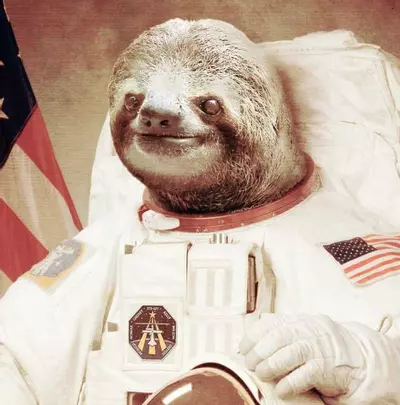 astronaut sloth