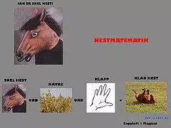 snel hest