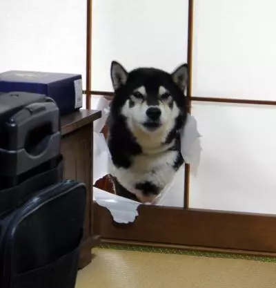 heard you were talking shit