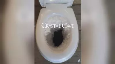 toilet dark souls levels