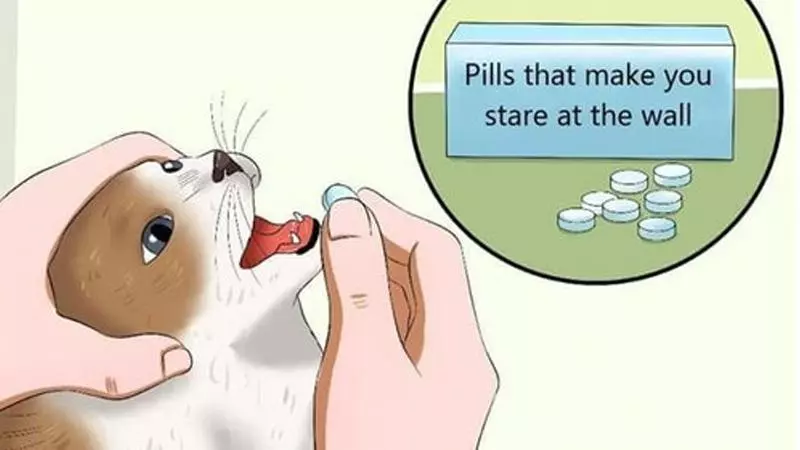 pills that make you stare meme image