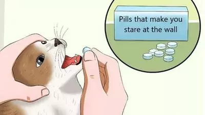 pills that make you stare