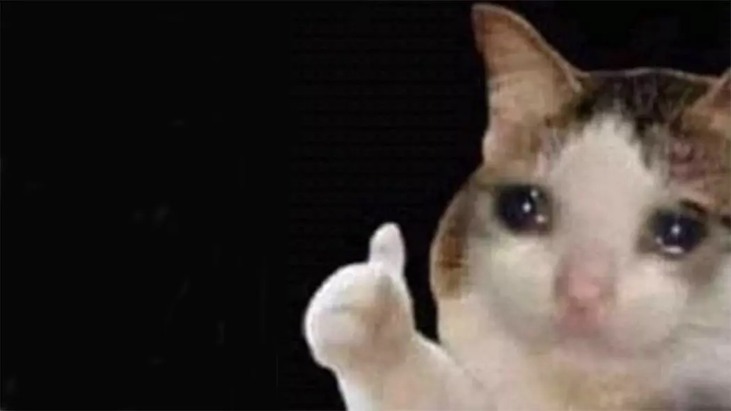 thumbs up crying cat meme image