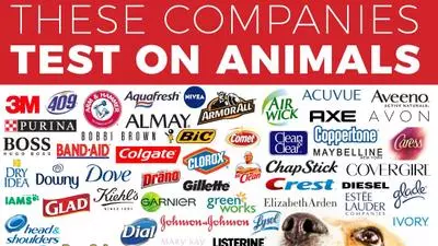 these companies test on animals