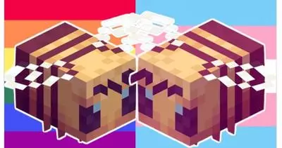 the minecraft bee is trans