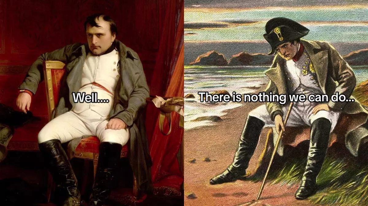napoleon there is nothing we can do meme image