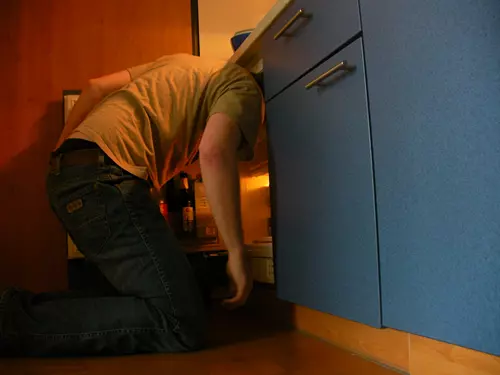 241543903 heads in freezers meme image