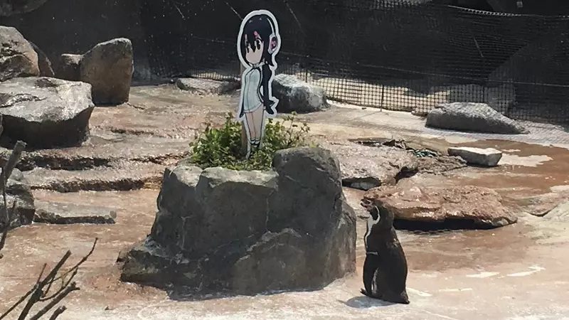 grape kun meme image
