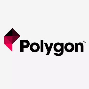 polygon meme image