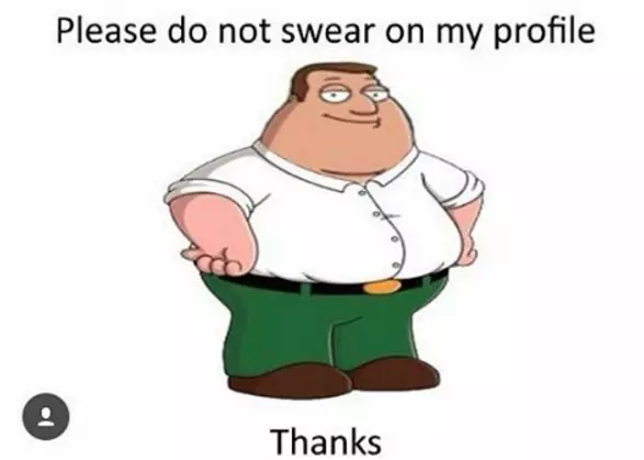 please do not swear on my profile thanks meme image
