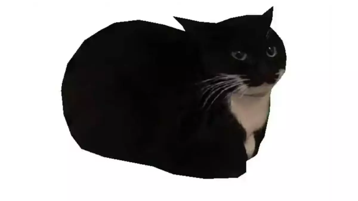 maxwell the cat spinning cat meme image