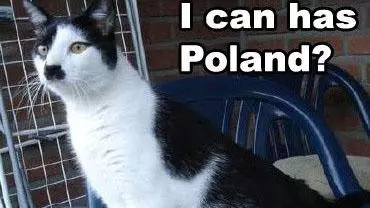 kitler meme image