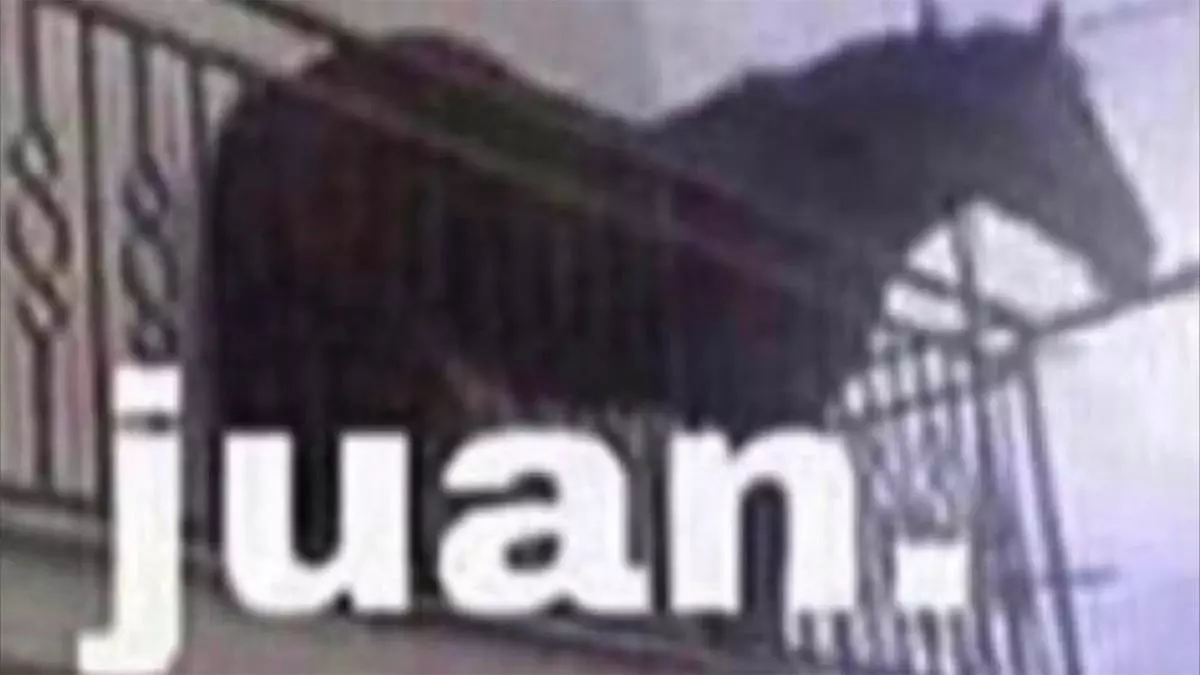 juan horse on balcony meme image