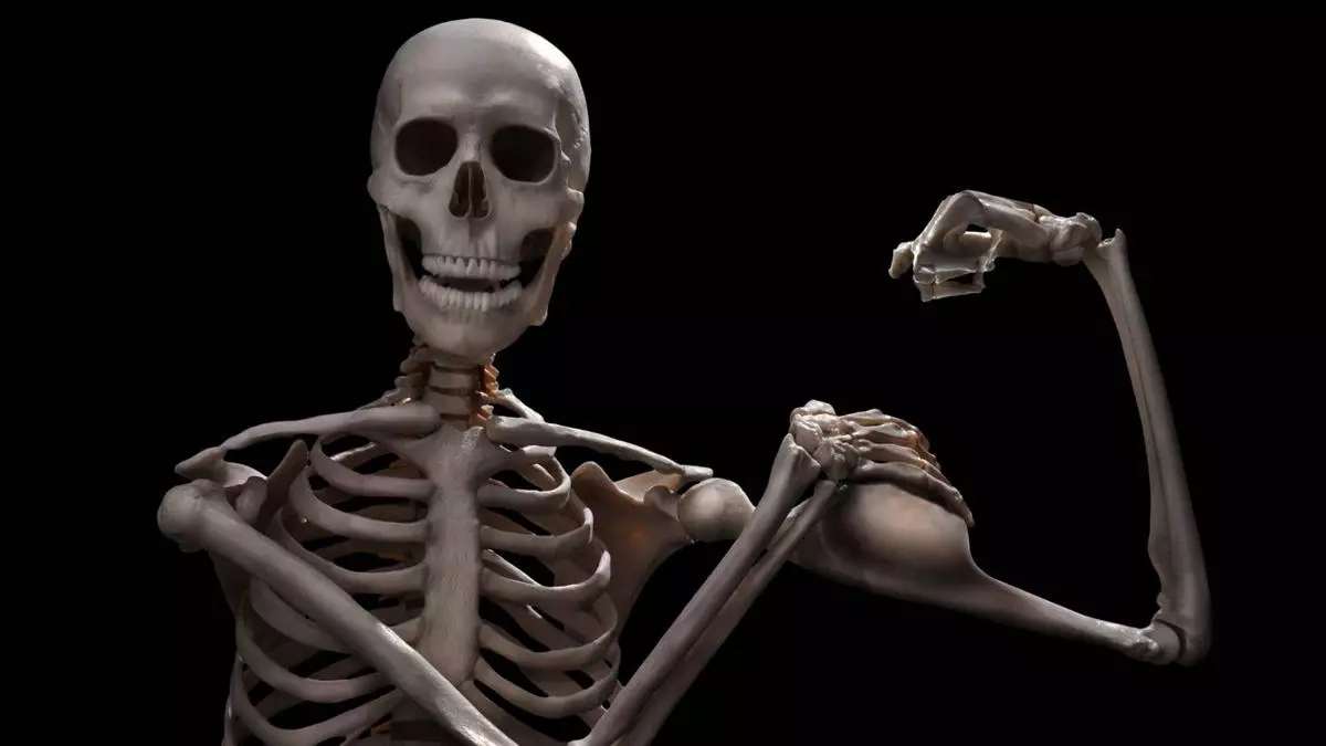 skeletons meme image