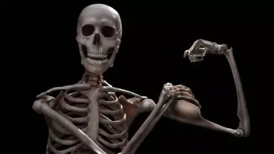 skeletons