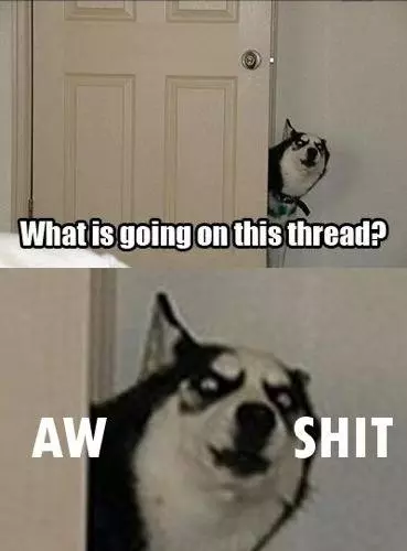 hey guys what s going on in this thread meme image