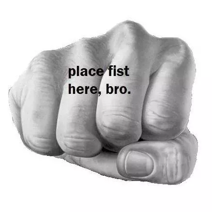 bro fist meme image