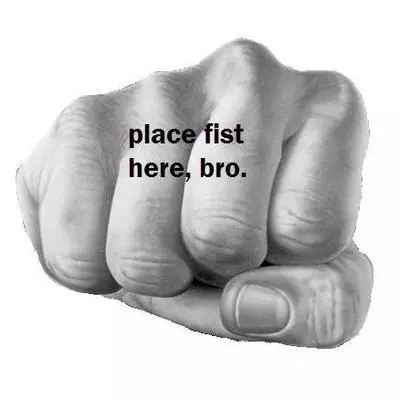 bro fist