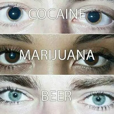 cocaine marijuana beer