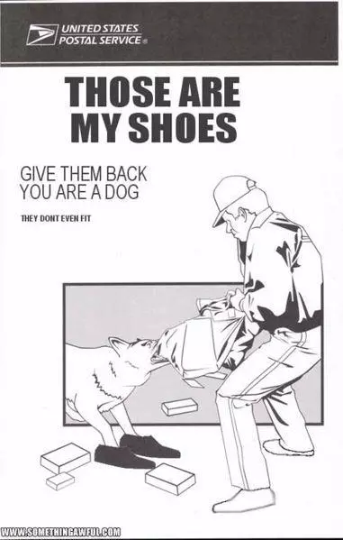 put yourself in my shoes