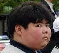little fatty meme image