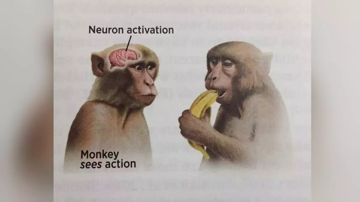 neuron activation meme image