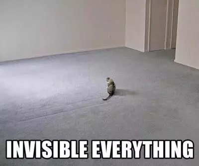 invisible bike